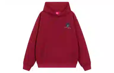 Disney logo300g