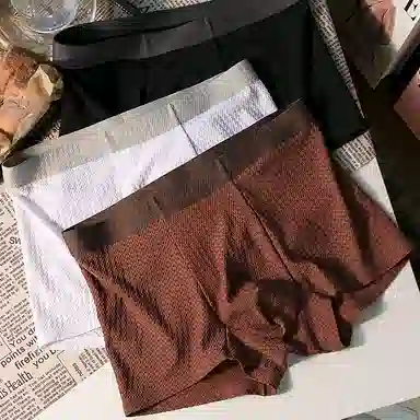 QTUR Ice Silk Men's Boxer Briefs