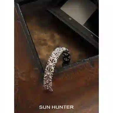 SUN HUNTER