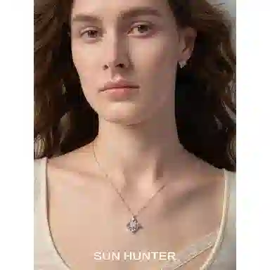 SUN HUNTER
