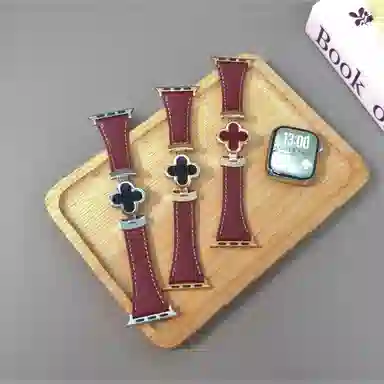 170mm iwatchS1110987se