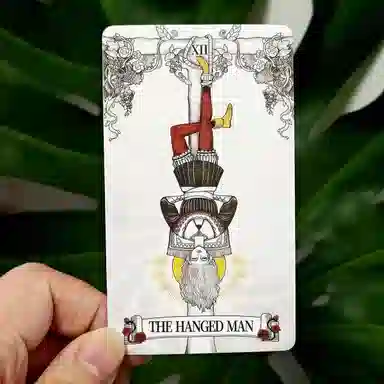 启启 秘境庄园 其他桌游