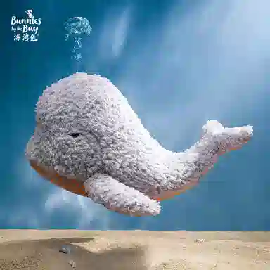 27cm