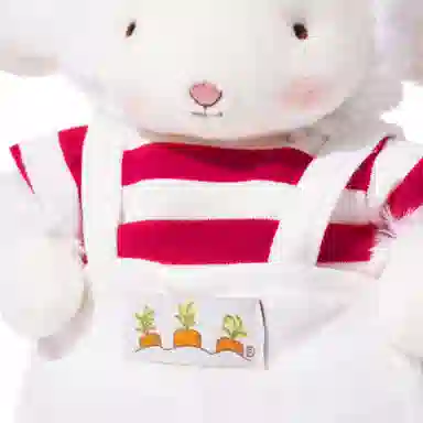 Bunnies By The Bay T 17cm