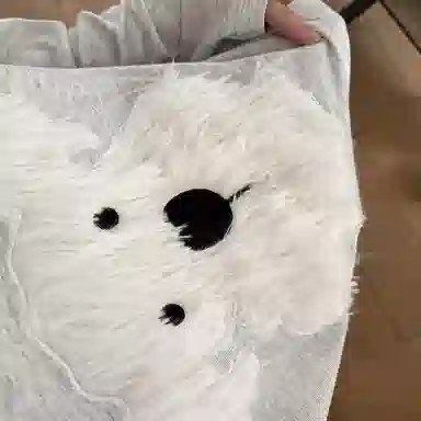 静英鸾 棉质带胸垫长袖长裤圆领套头纯色可爱卡通毛绒小狗家居服秋冬季睡衣套装 女款