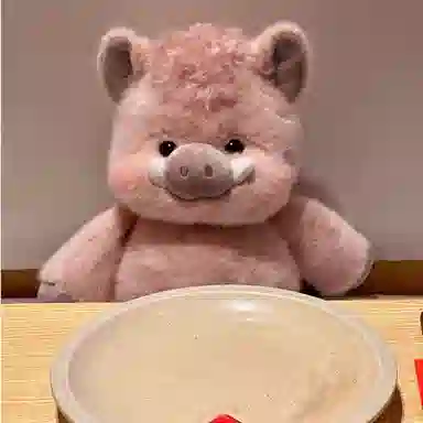 35cm45cm55cm