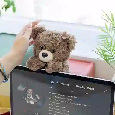17cm