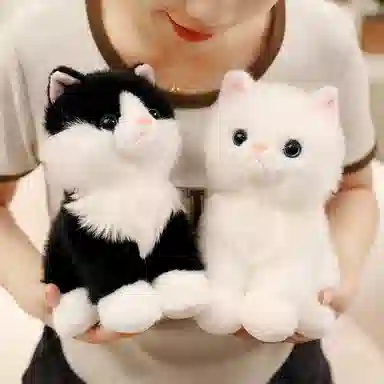 20cm