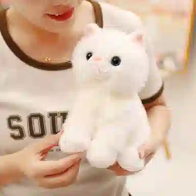 20cm