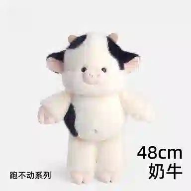 48cm