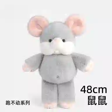 48cm