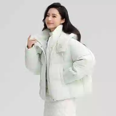 鸭鸭 经典百搭秋冬休闲时尚简约防风保暖连帽小个子短款羽绒服 女款