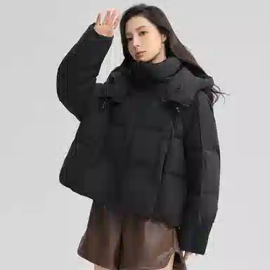 鸭鸭 经典百搭秋冬休闲时尚简约防风保暖连帽小个子短款羽绒服 女款