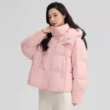 鸭鸭 经典百搭秋冬休闲时尚简约防风保暖连帽小个子短款羽绒服 女款