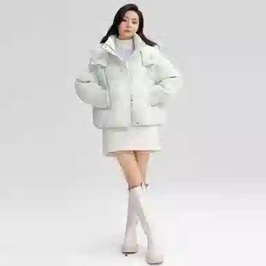 鸭鸭 经典百搭秋冬休闲时尚简约防风保暖连帽小个子短款羽绒服 女款