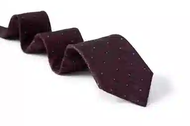 红豆 高档时尚优质成功人士商务洽谈正装百搭 涤纶 领带 男款