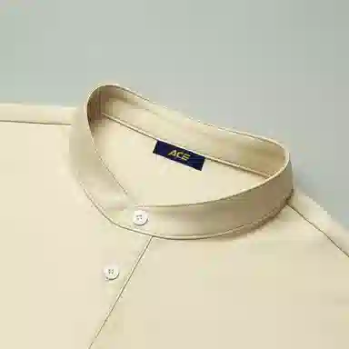 ASSIDUOUS CONFUSED EFFORT 2025T