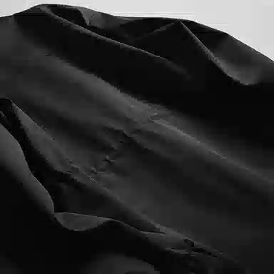 ASSIDUOUS CONFUSED EFFORT 2025