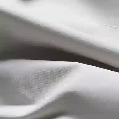 ASSIDUOUS CONFUSED EFFORT 2025