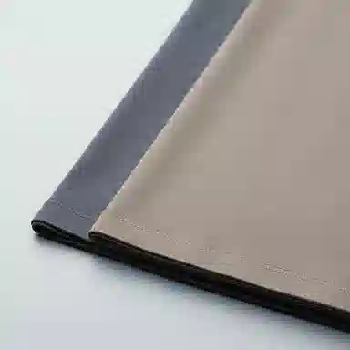 ASSIDUOUS CONFUSED EFFORT 2025T