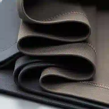 ASSIDUOUS CONFUSED EFFORT 2025T