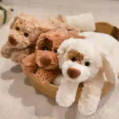 lionf 28cm37cm47cm
