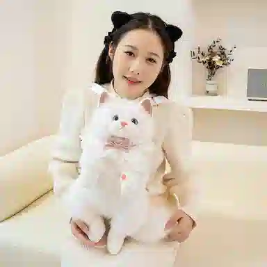 45cm