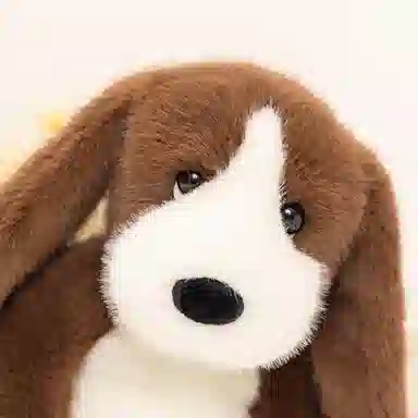 lionf 45cm