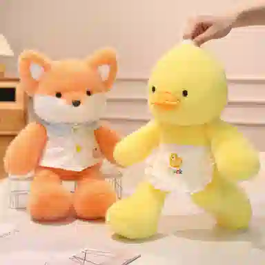 40cm50cm