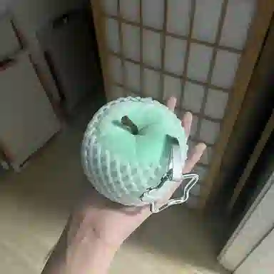lionf 10cm