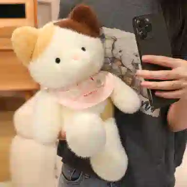 40cm50cm