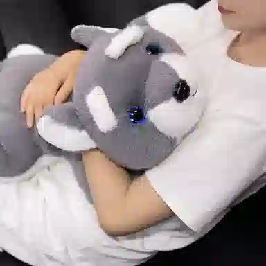 lionf 30cm40cm60cm