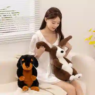 lionf 45cm