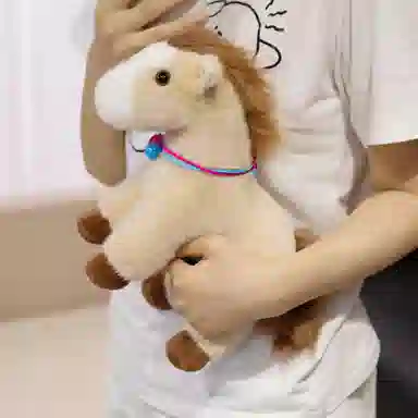 lionf 27cm