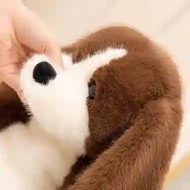 lionf 45cm