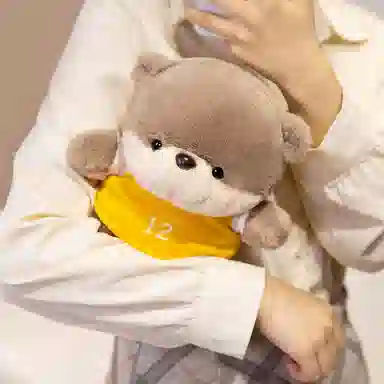 23cm