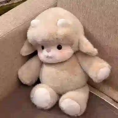45cm60cm
