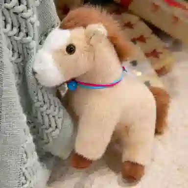 lionf 27cm