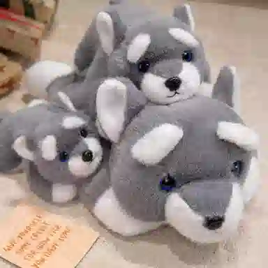 lionf 30cm40cm60cm
