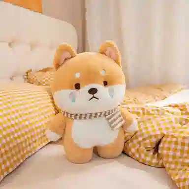 25cm35cm