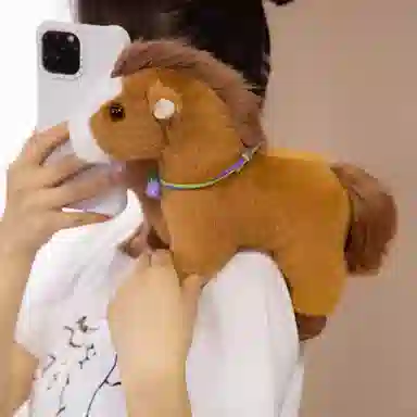 lionf 27cm