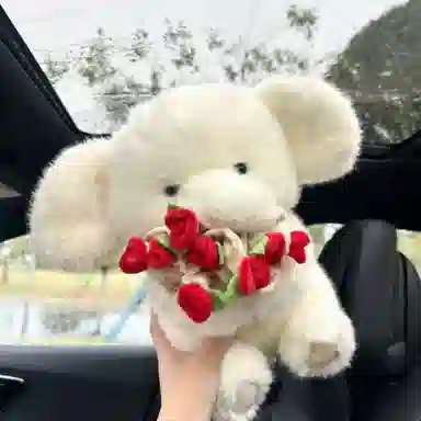 lionf 30cm