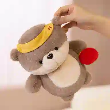 23cm