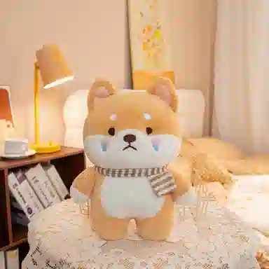 25cm35cm