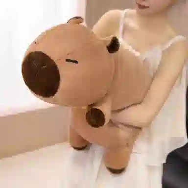 lionf 60cm80cm