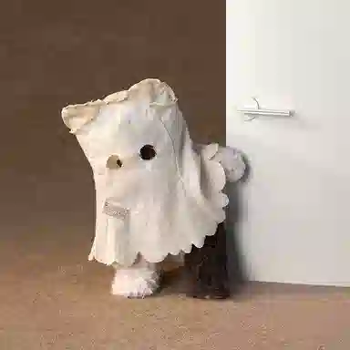 30cm40cm