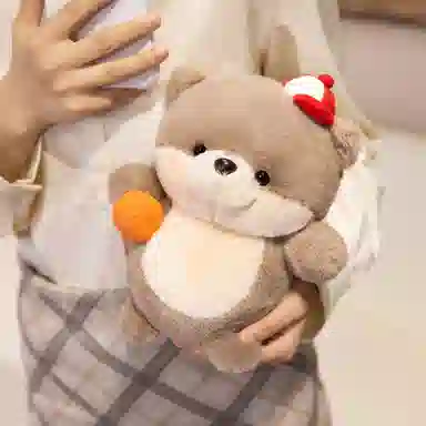 23cm