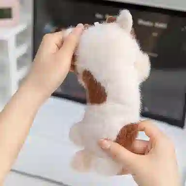 20cm