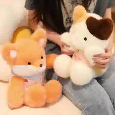 40cm50cm