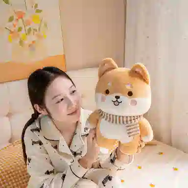25cm35cm